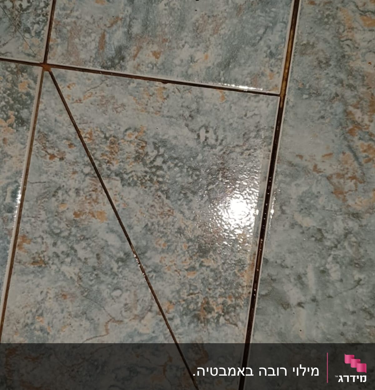 אריחי קרמיקה עם קווים חומים ביניהם